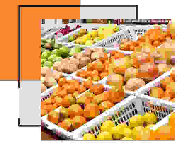 Надежная перевозка продуктов в Новомосковске
